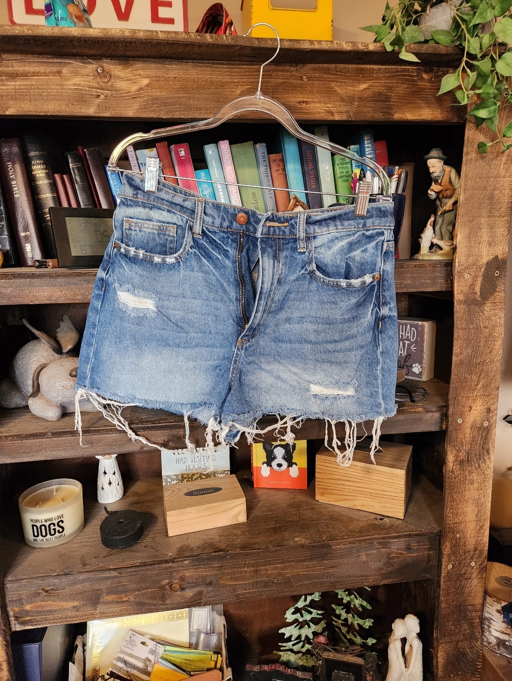 Sneak Peek Frayed Light Blue Denim Shorts